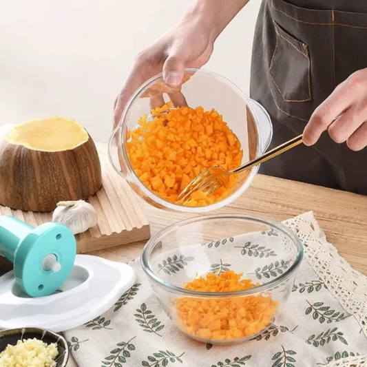 Manual Hand chopper